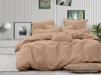 boyrtex_14-1213_1