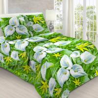 viola_БГ-1503_2