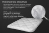 renome_42-021_2