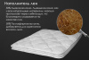 renome_42-113_2