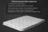 renome_42-203_3