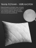 renome_42-022_3