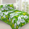 viola_БГ-1503_2