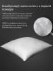 renome_14-019_3